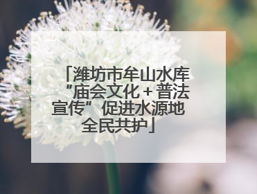潍坊市牟山水库“庙会文化＋普法宣传”促进水源地全民共护