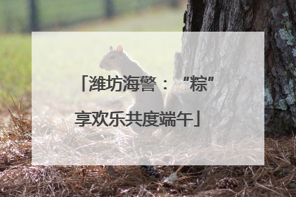 潍坊海警：“粽”享欢乐共度端午
