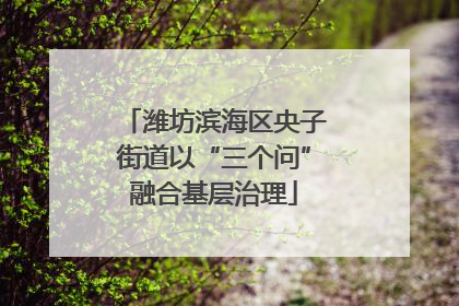 潍坊滨海区央子街道以“三个问”融合基层治理