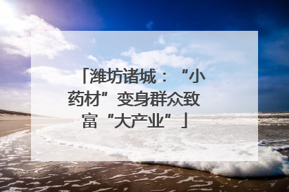 潍坊诸城：“小药材”变身群众致富“大产业”