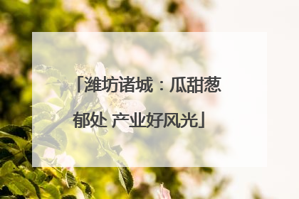 潍坊诸城：瓜甜葱郁处 产业好风光