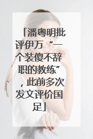 潘粤明批评伊万“一个装傻不辞职的教练”，此前多次发文评价国足