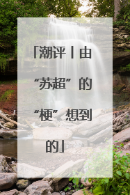 潮评丨由“苏超”的“梗”想到的