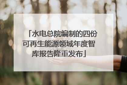 水电总院编制的四份可再生能源领域年度智库报告隆重发布