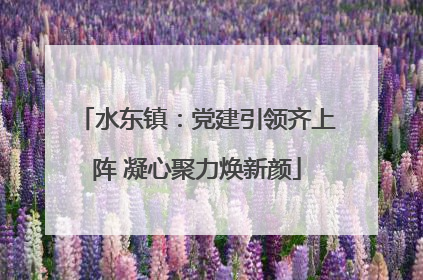 水东镇：党建引领齐上阵 凝心聚力焕新颜