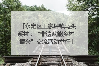 永定区王家坪镇马头溪村：“非遗赋能乡村振兴”交流活动举行