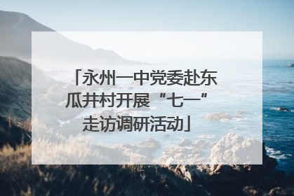 永州一中党委赴东瓜井村开展“七一”走访调研活动