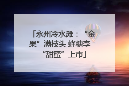 永州冷水滩：“金果”满枝头 蜂糖李“甜蜜”上市