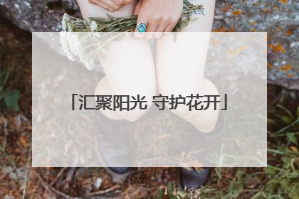 汇聚阳光 守护花开