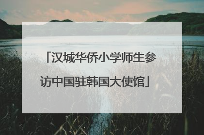 汉城华侨小学师生参访中国驻韩国大使馆