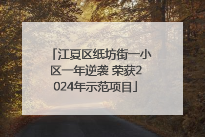 江夏区纸坊街一小区一年逆袭 荣获2024年示范项目