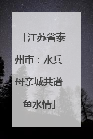 江苏省泰州市：水兵母亲城共谱鱼水情