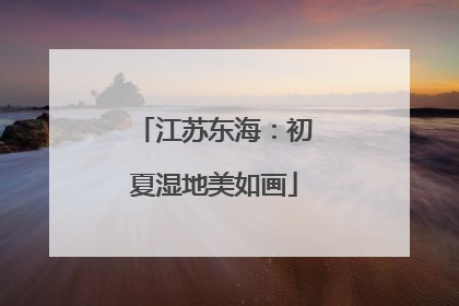 江苏东海：初夏湿地美如画