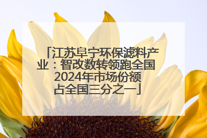 江苏阜宁环保滤料产业：智改数转领跑全国 2024年市场份额占全国三分之一