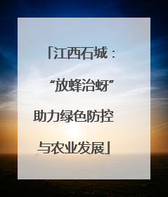 江西石城：“放蜂治蚜”助力绿色防控与农业发展