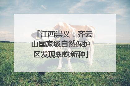 江西崇义：齐云山国家级自然保护区发现蜘蛛新种
