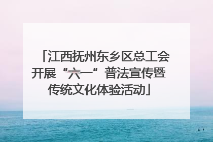 江西抚州东乡区总工会开展“六一”普法宣传暨传统文化体验活动