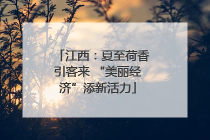 江西：夏至荷香引客来 “美丽经济”添新活力