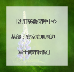 沈阳联勤保障中心某部：安家驻地周边 军士跨市团聚