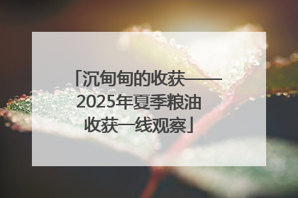 沉甸甸的收获——2025年夏季粮油收获一线观察