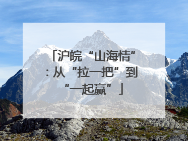 沪皖“山海情”：从“拉一把”到“一起赢”