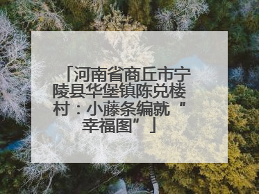 河南省商丘市宁陵县华堡镇陈兑楼村：小藤条编就“幸福图”