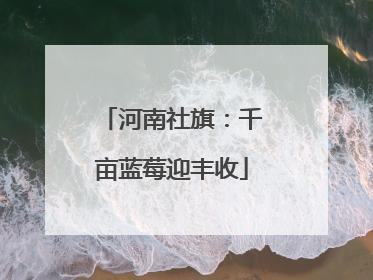 河南社旗：千亩蓝莓迎丰收