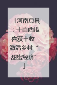 河南息县：千亩西瓜喜获丰收 激活乡村“甜蜜经济”