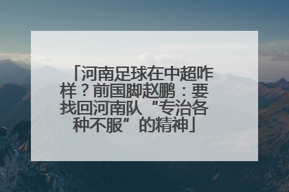 河南足球在中超咋样？前国脚赵鹏：要找回河南队“专治各种不服”的精神