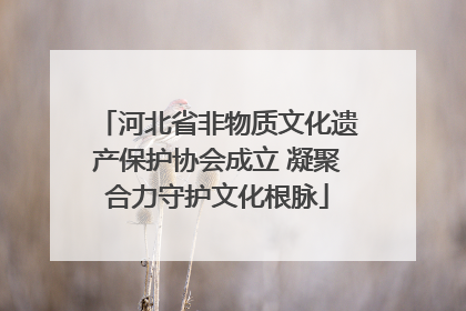 河北省非物质文化遗产保护协会成立 凝聚合力守护文化根脉