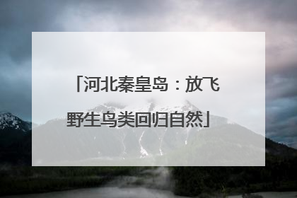 河北秦皇岛：放飞野生鸟类回归自然