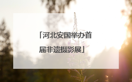 河北安国举办首届非遗摄影展