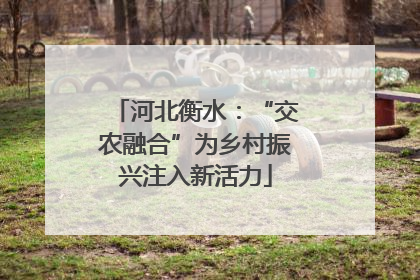 河北衡水：“交农融合”为乡村振兴注入新活力