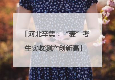 河北辛集：“麦”考生实收测产创新高