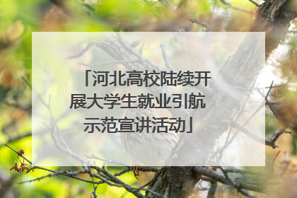 河北高校陆续开展大学生就业引航示范宣讲活动