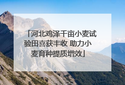 河北鸡泽千亩小麦试验田喜获丰收 助力小麦育种提质增效