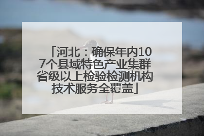 河北：确保年内107个县域特色产业集群省级以上检验检测机构技术服务全覆盖