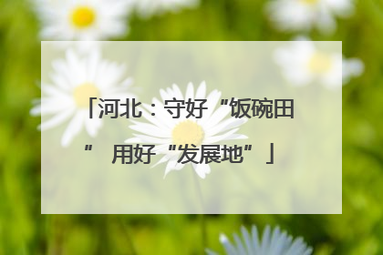 河北：守好“饭碗田” 用好“发展地”