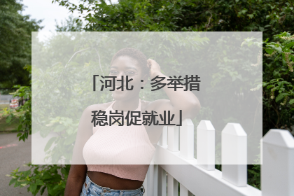 河北：多举措稳岗促就业