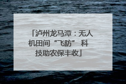 泸州龙马潭：无人机田间“飞防” 科技助农保丰收
