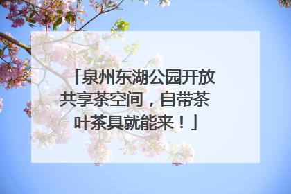 泉州东湖公园开放共享茶空间，自带茶叶茶具就能来！