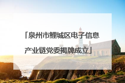 泉州市鲤城区电子信息产业链党委揭牌成立