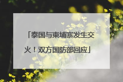 泰国与柬埔寨发生交火！双方国防部回应