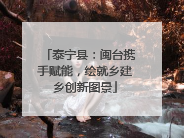 泰宁县：闽台携手赋能，绘就乡建乡创新图景