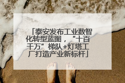 泰安发布工业数智化转型蓝图，“十百千万”梯队+灯塔工厂打造产业新标杆
