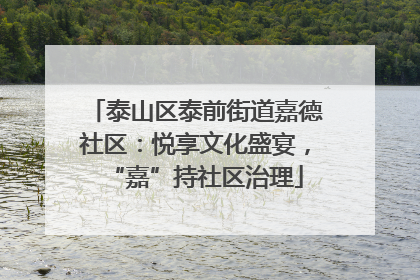 泰山区泰前街道嘉德社区：悦享文化盛宴，“嘉”持社区治理