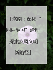洛南：深化“四种陋习”治理 探索乡风文明新路径