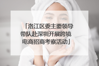 洛江区委主要领导带队赴深圳开展跨境电商招商考察活动