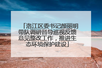 洛江区委书记颜丽明带队调研督导巡视反馈意见整改工作，推进生态环境保护建设