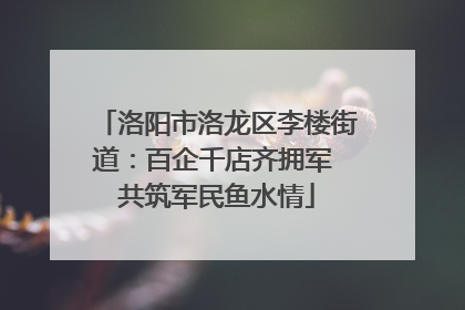 洛阳市洛龙区李楼街道：百企千店齐拥军 共筑军民鱼水情